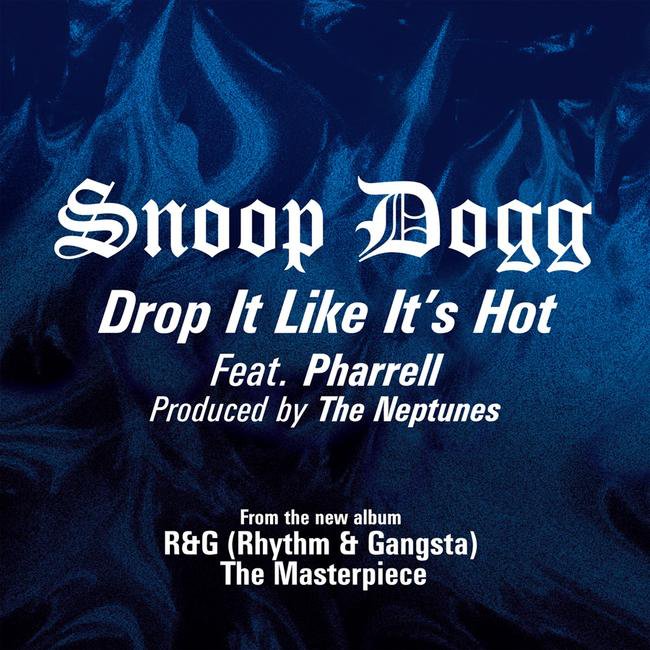 snoop dogg rhythm and gangsta album download